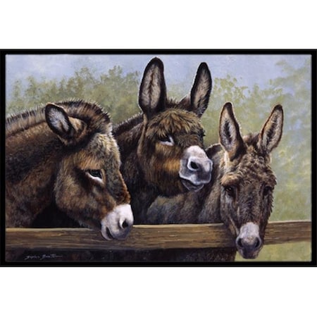 Carolines Treasures BDBA0235JMAT Donkeys By Daphne Baxter Indoor Or Outdoor Mat; 24 X 36